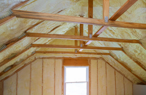 Best Commercial Insulation in Paris, MO